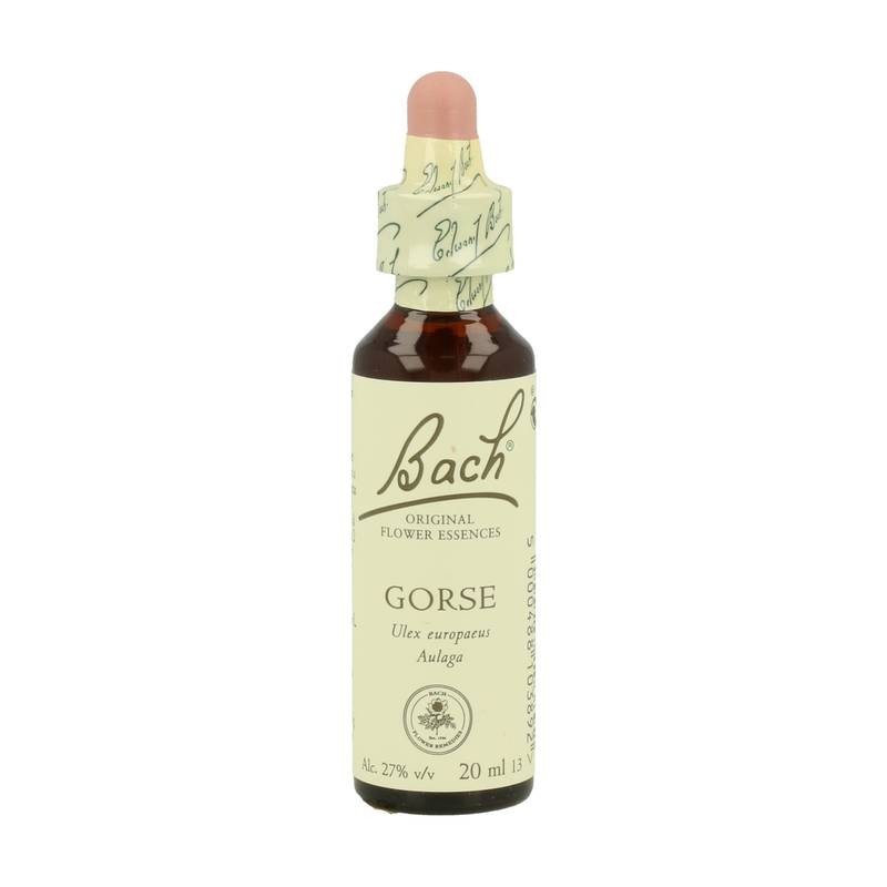 FLOR BACH gorse 20 ml Nº13