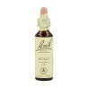 FLOR BACH holly 20 ml Nº15