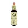 FLOR BACH honeysuckle 20 ml Nº16