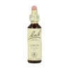 FLOR BACH larch 20 ml Nº19