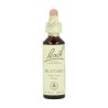 FLOR BACH mustard 20 ml Nº21