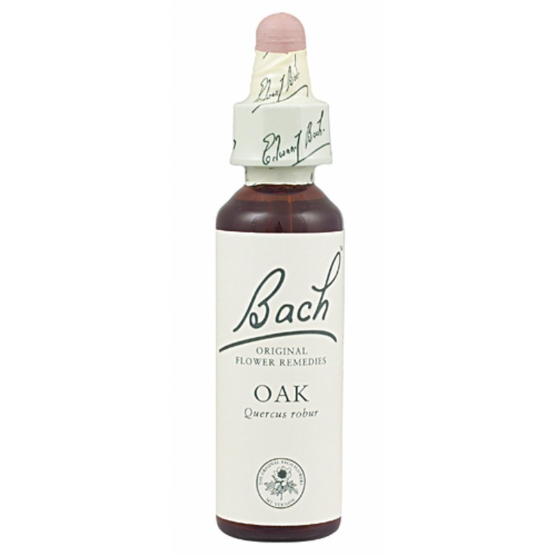 FLOR BACH oak 20 ml Nº22