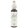 FLOR BACH oak 20 ml Nº22