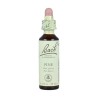 FLOR BACH pine 20 ml Nº24