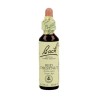 FLOR BACH red chestnut 20 ml Nº25