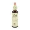 FLOR BACH rock rose 20 ml Nº26