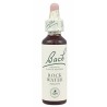 FLOR BACH rock water 20 ml Nº27