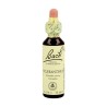 FLOR BACH scleranthus 20 ml Nº28