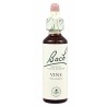 FLOR BACH vine 20 ml Nº32