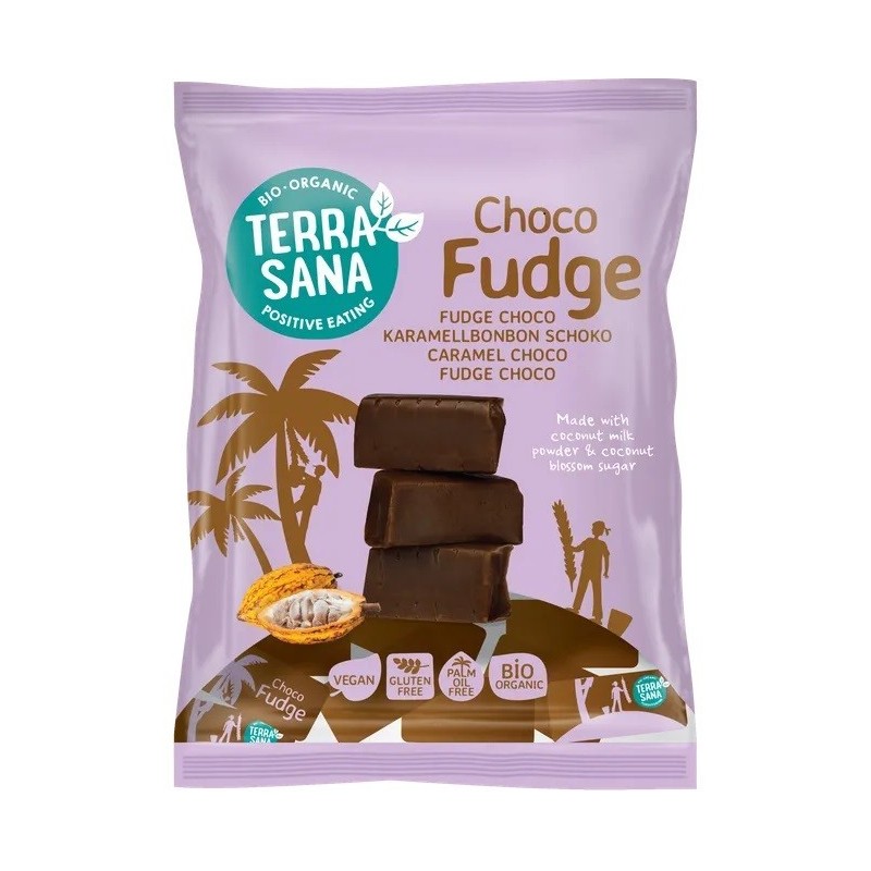 Fudge chocolate TERRASANA 150 gr BIO